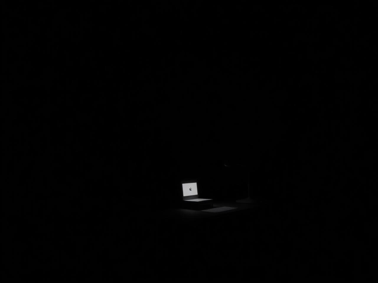 XelPhoto — 3